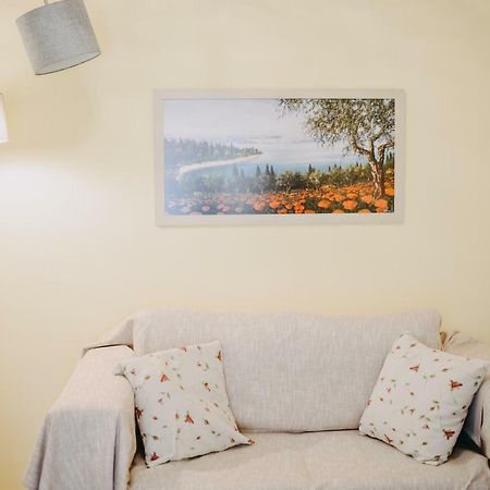 Best House, Rooftop Aprtm., Marina Zeas Piraeus Ngoại thất bức ảnh